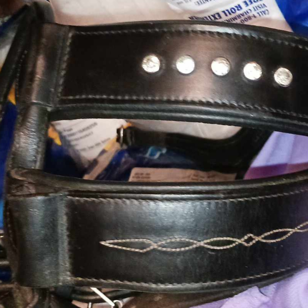 PS of Sweden High Jump Noseband size 3
